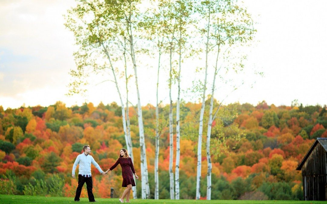 Elario Photography Inc.