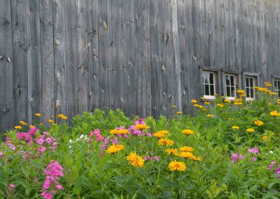 Garden in bloom at Historic Barns of Nipmoose, Photograph by Constance Kheel