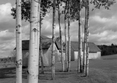 Historic Barns of Nipmoose, Photograph by Dunja Von Stoddard
